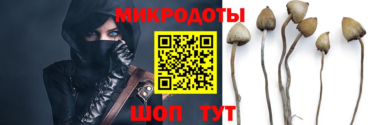 Псилоцибиновые грибы Cubensis  Вход с VPN  Псилоцибиновые грибы Psilocybine cubensis  Санкт-Петербург 