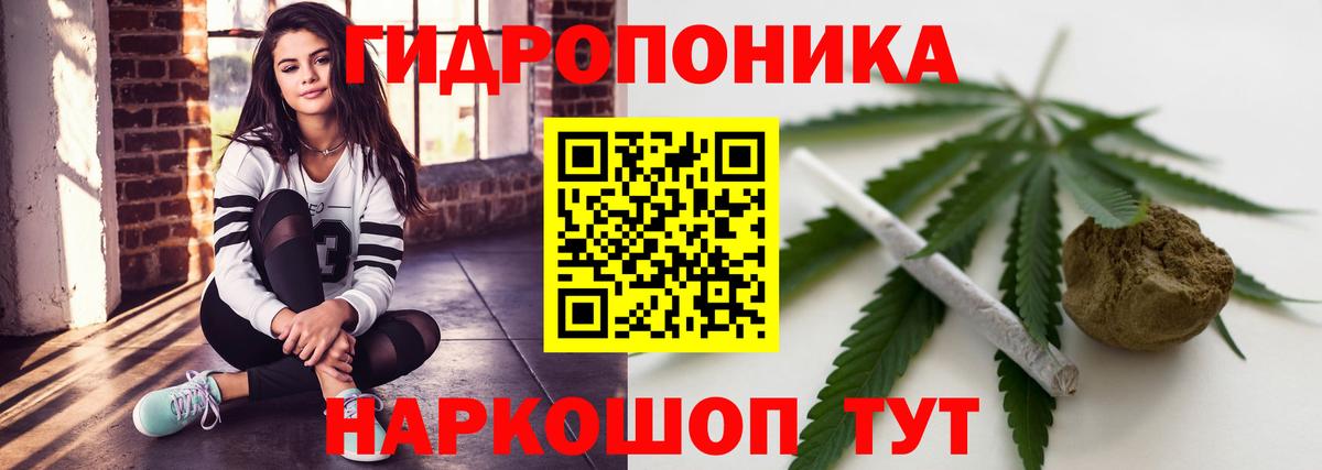 Санкт-Петербург  Шишки марихуана марихуана  Вход с VPN  Каннабис Bruce Banner 